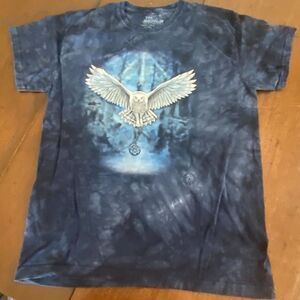 The Mountain T-Shirt Men's XL Blue Arctic Wiccan Owl Anne Stokes Collection